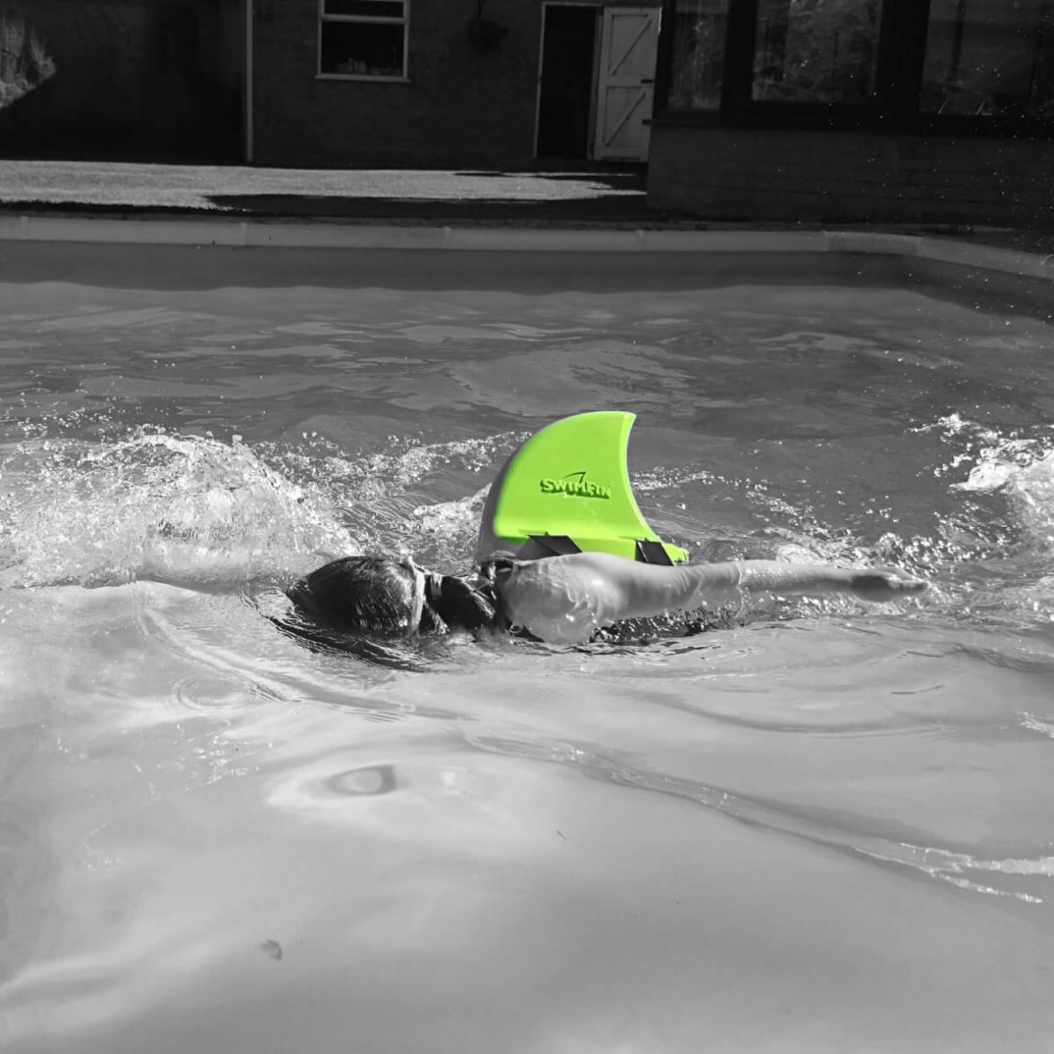 plavut swimfin zelena