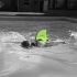 plavut swimfin zelena